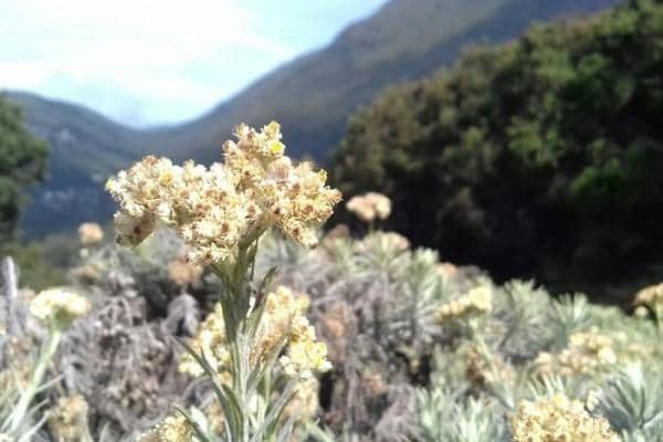 instagram.com/irfan.moto