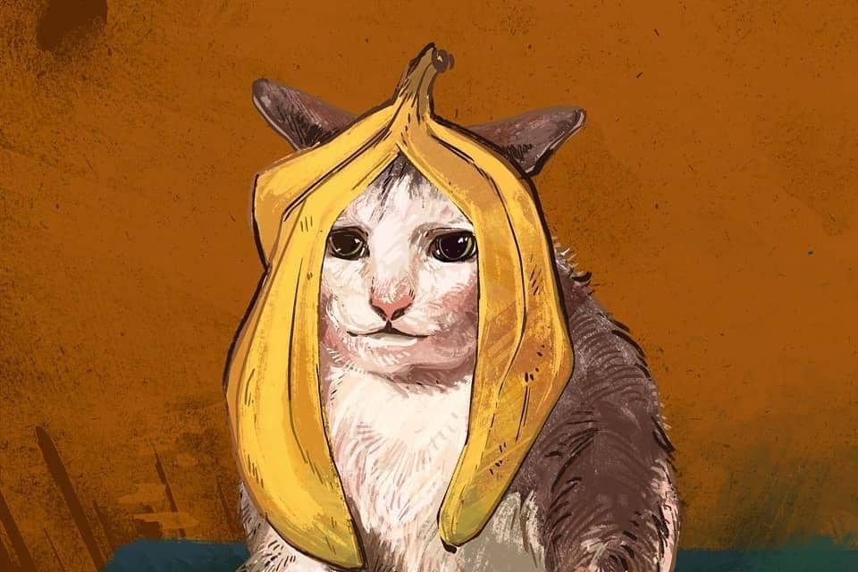 instagram.com/ catwheezie