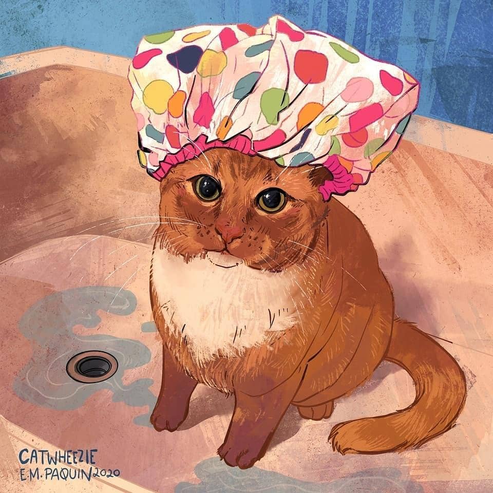 instagram.com/ catwheezie