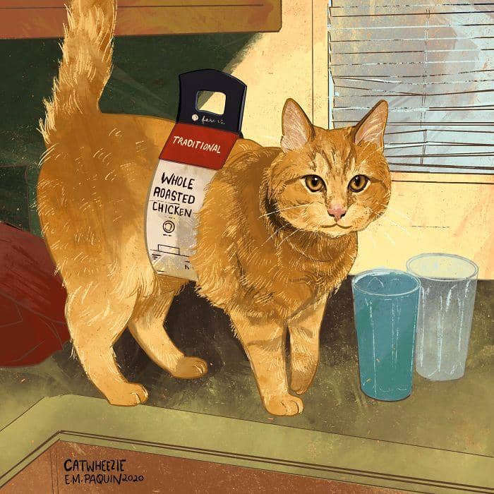 instagram.com/ catwheezie