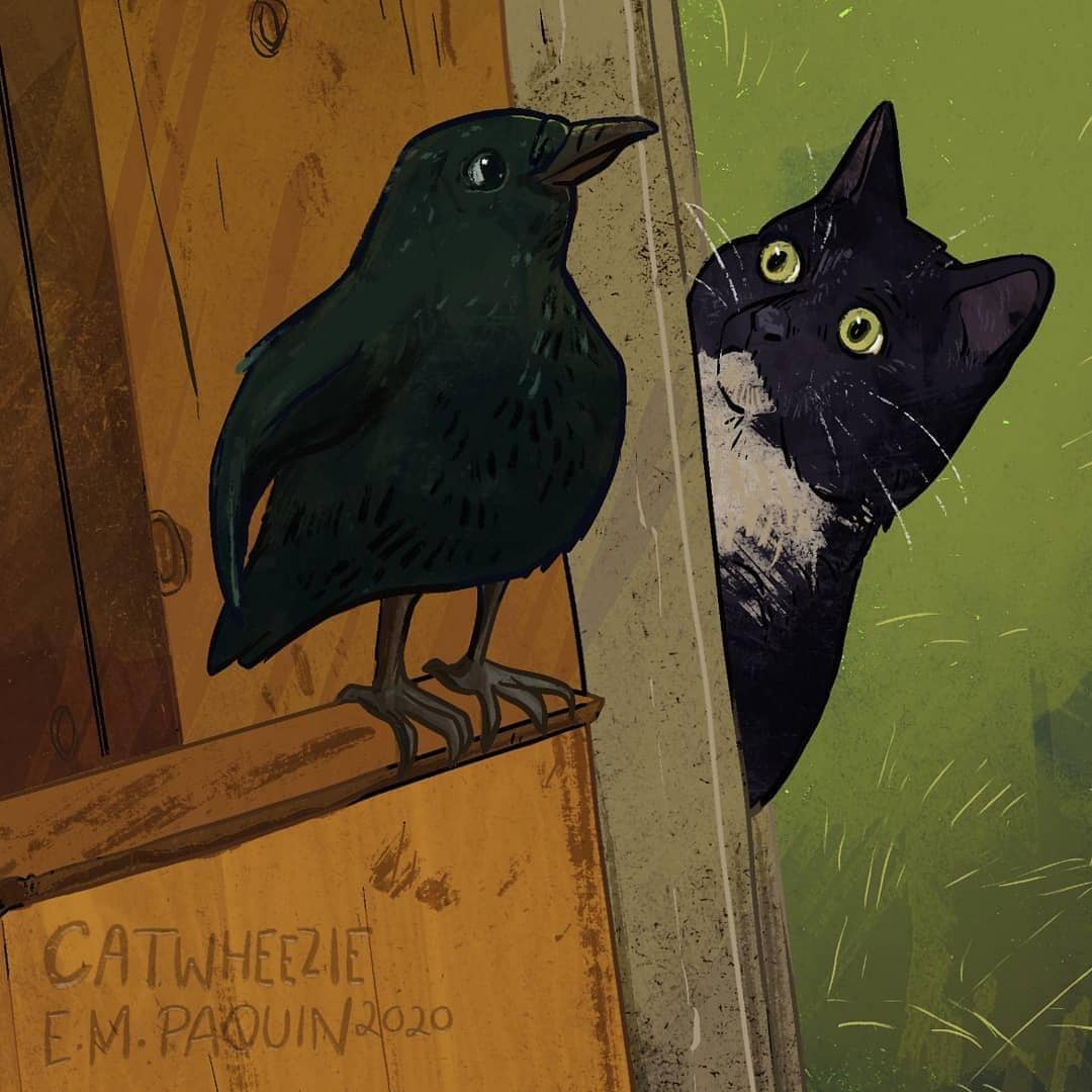 instagram.com/ catwheezie