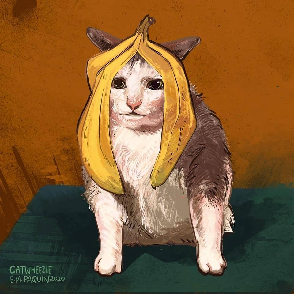 instagram.com/ catwheezie