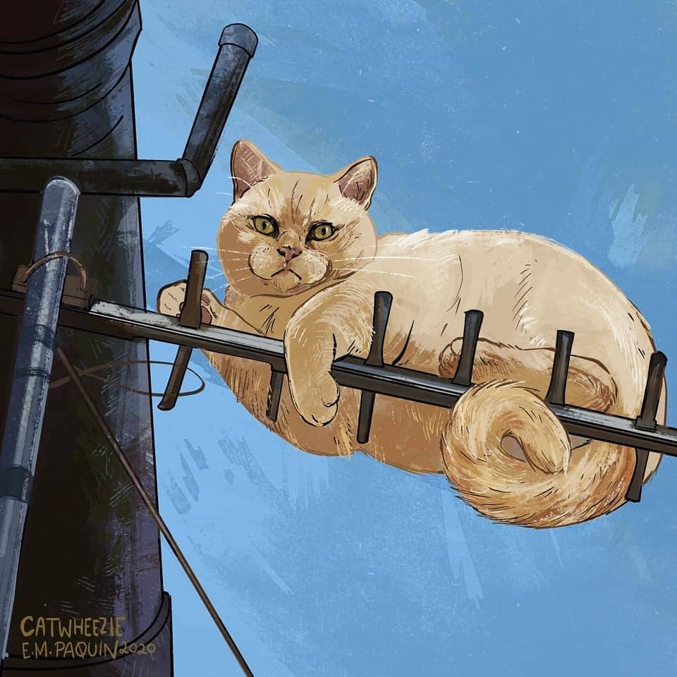 instagram.com/ catwheezie