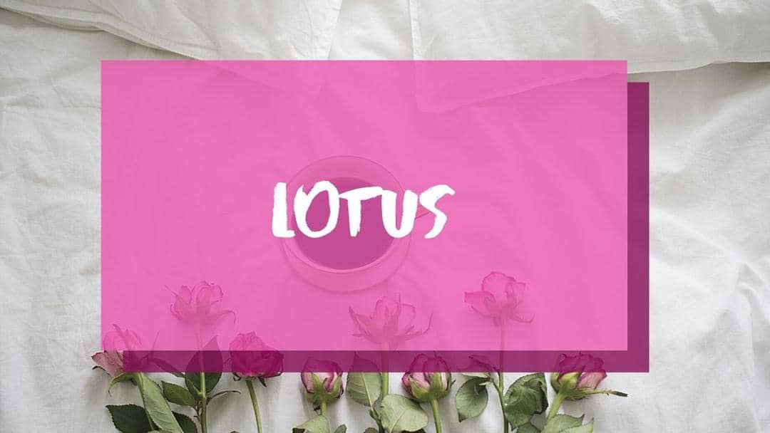 Canva.com/Andhina Effendi