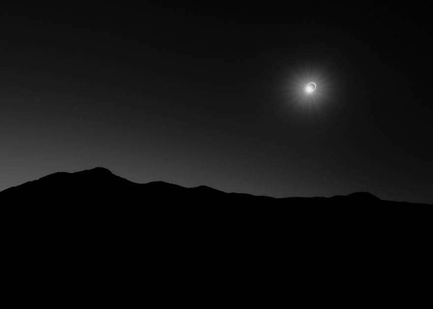 Boredpanda.com/ Filip Ogorzelski