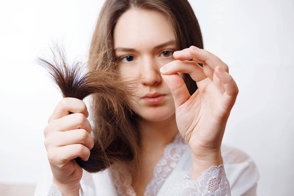 Shutterstock/Denis Val