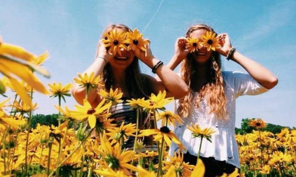 Pinterest.com/Playbuzz