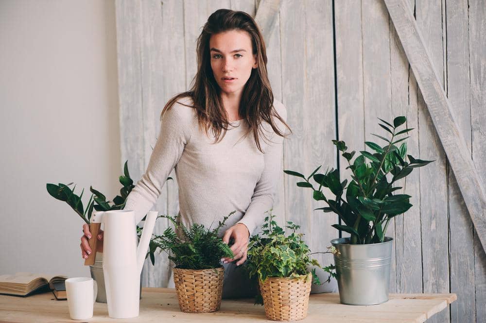 Shutterstock/Maria Evseyeva