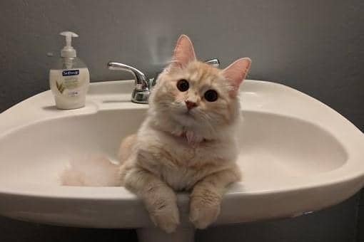 boredpanda.com/ Sam474