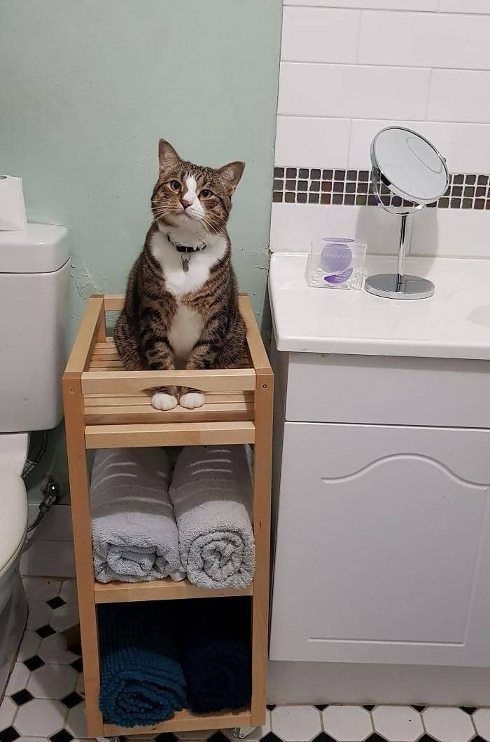 boredpanda.com/ casadella