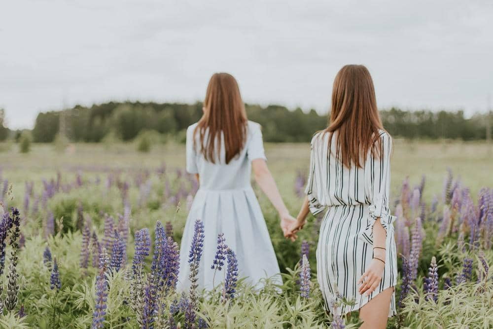 Unsplash.com/Daiga Ellaby