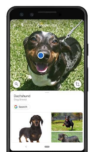 Dok. Google Indonesia