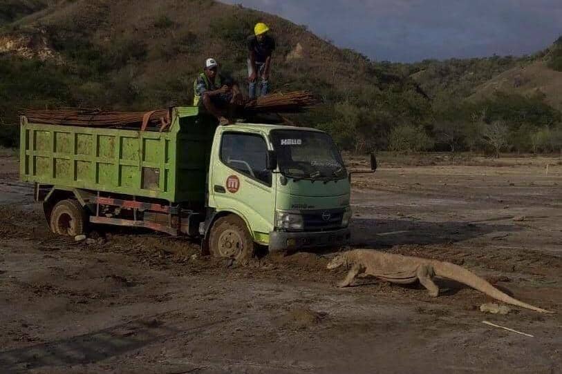 Twitter.com/KawanBaikKomodo