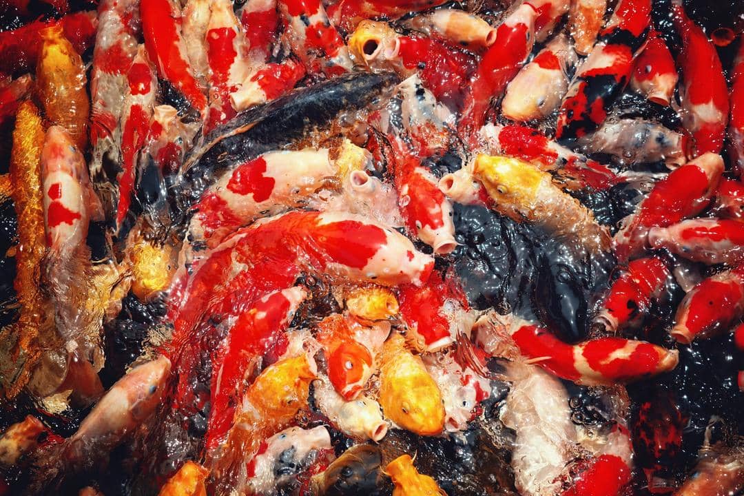 Unsplash.com/Sung Jin Cho