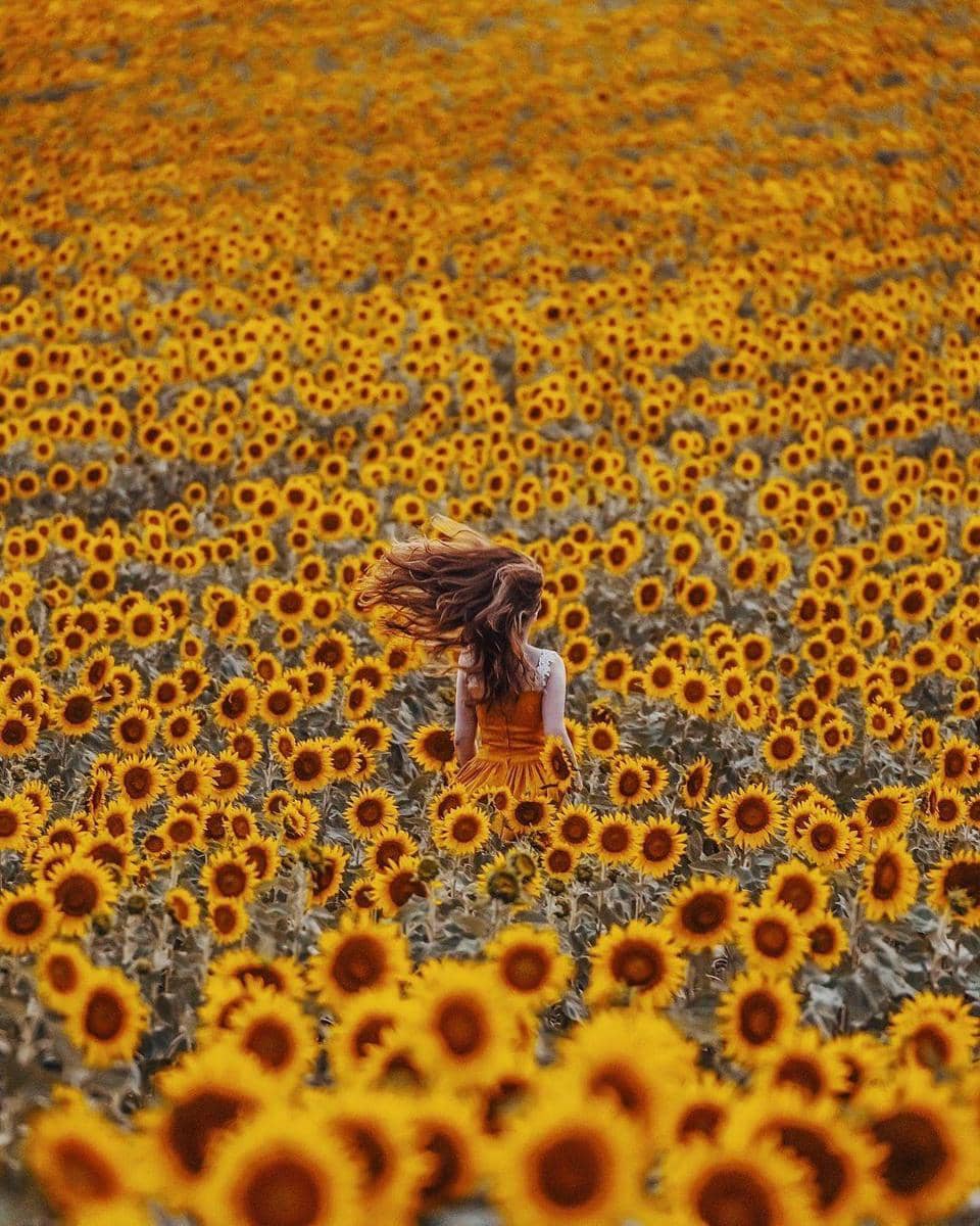 Instagram.com/ hobopeeba