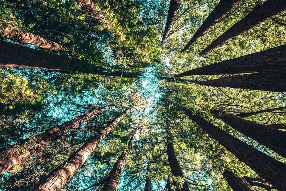 Unsplash.com/Casey Horner