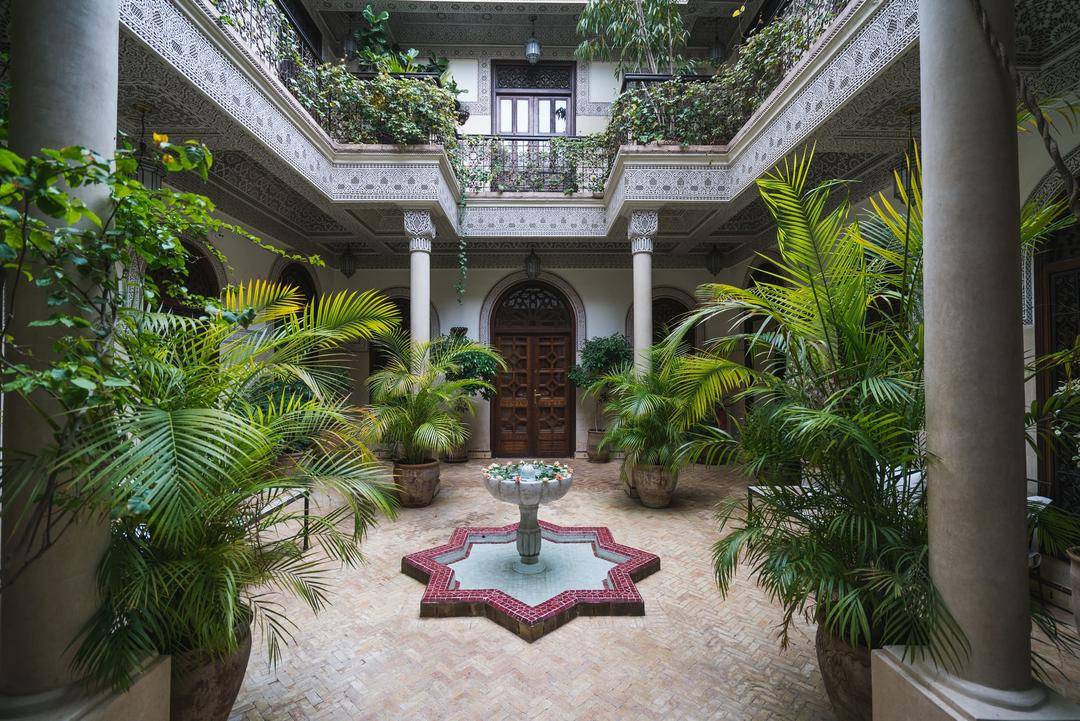 5 Jenis Pohon Palem Hias yang Cocok untuk Interior Rumah, Bikin Cantik