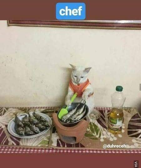 Instagram.com/duhreceh