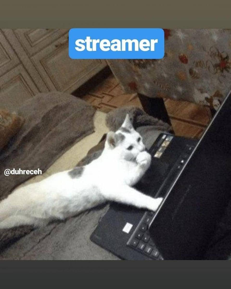 Instagram.com/duhreceh