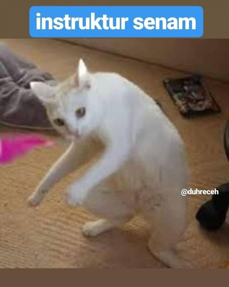 Instagram.com/duhreceh