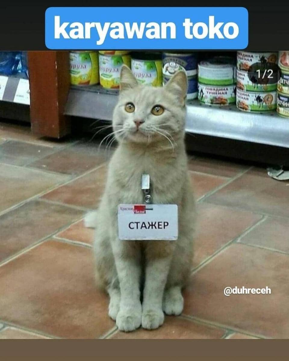 Instagram.com/duhreceh