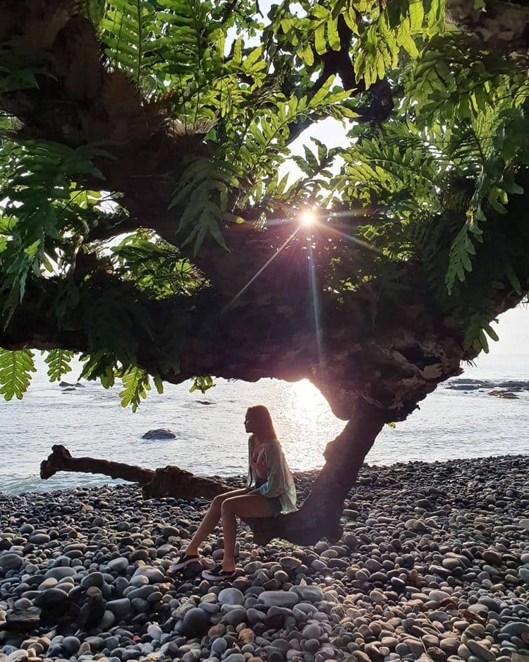 Instagram.com/nicholassaputra