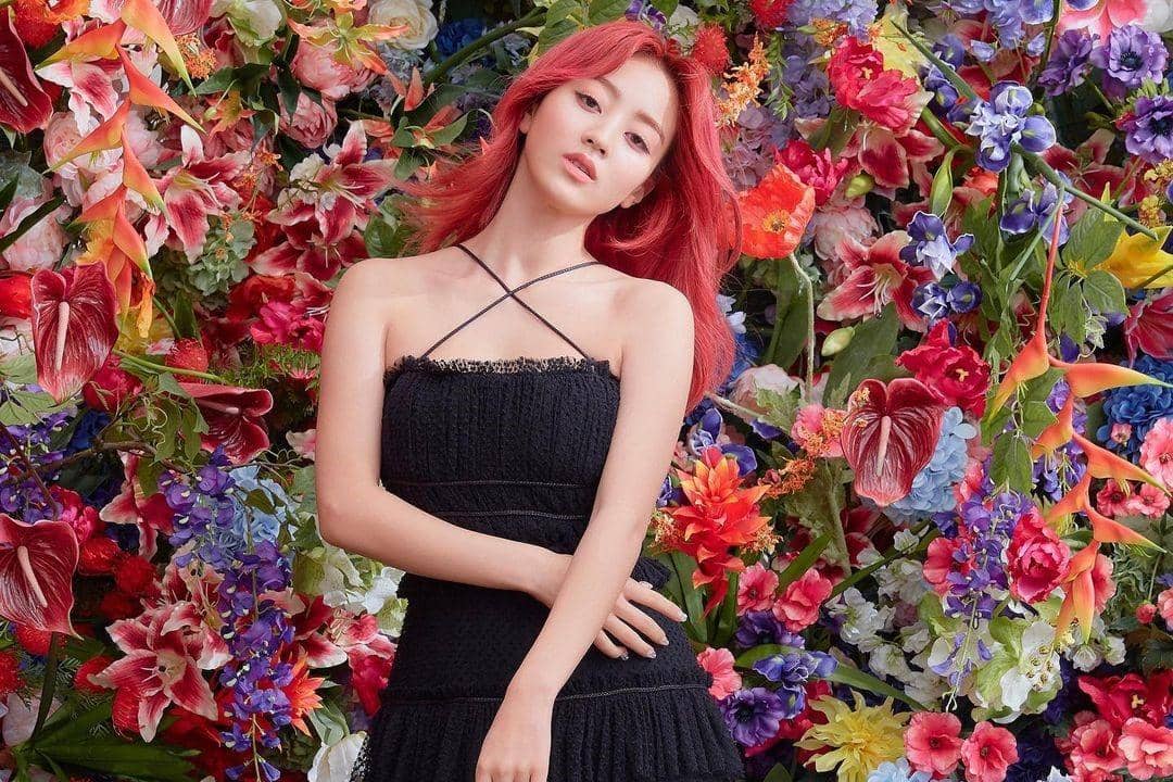 Instagram.com/jypjihyo