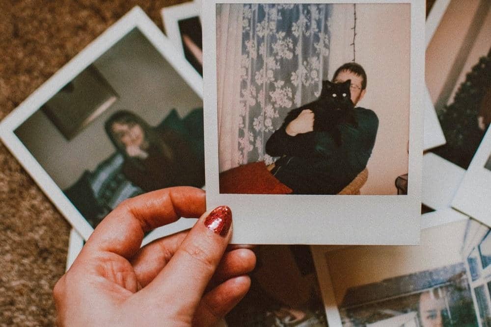 Pexels.com/Lisa Fotios