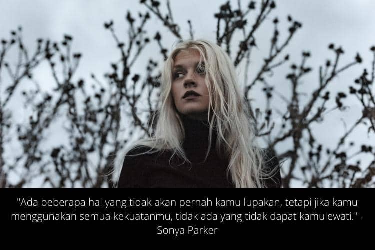 unsplash.com/@antomalani