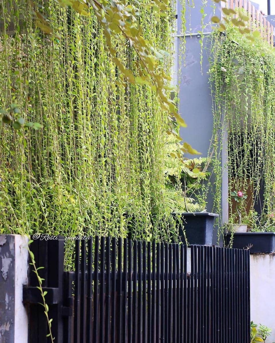 instagram.com/ resti_yunivita