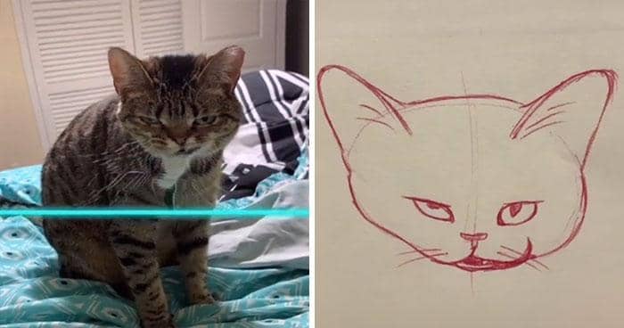 tiktok.com/@kittishdraws