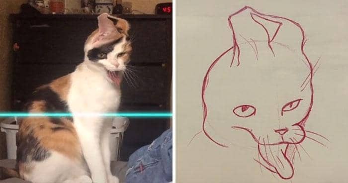 tiktok.com/@kittishdraws