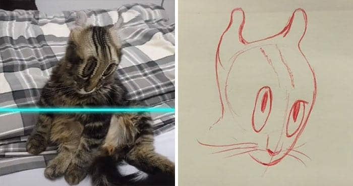 tiktok.com/@kittishdraws