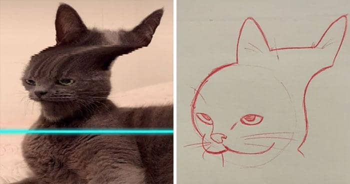 tiktok.com/@kittishdraws