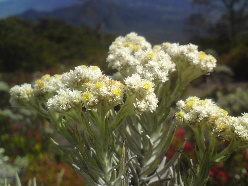 Adventuretravel.co.id