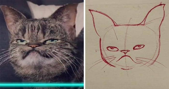 tiktok.com/@kittishdraws