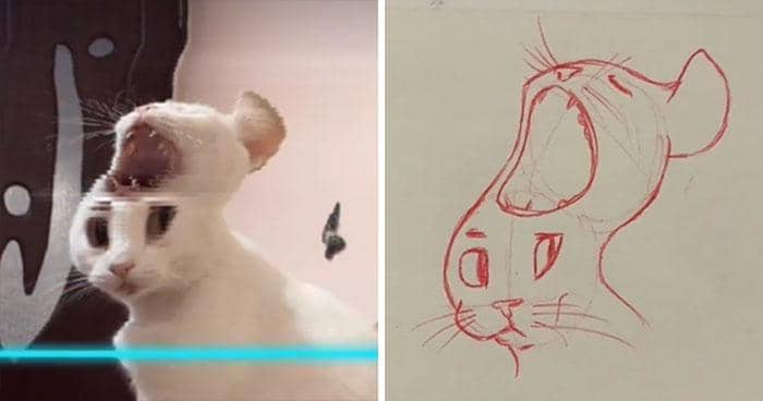 tiktok.com/@kittishdraws