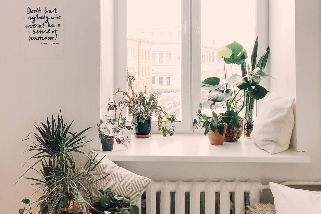 Pexels.com/Daria Shevtsova