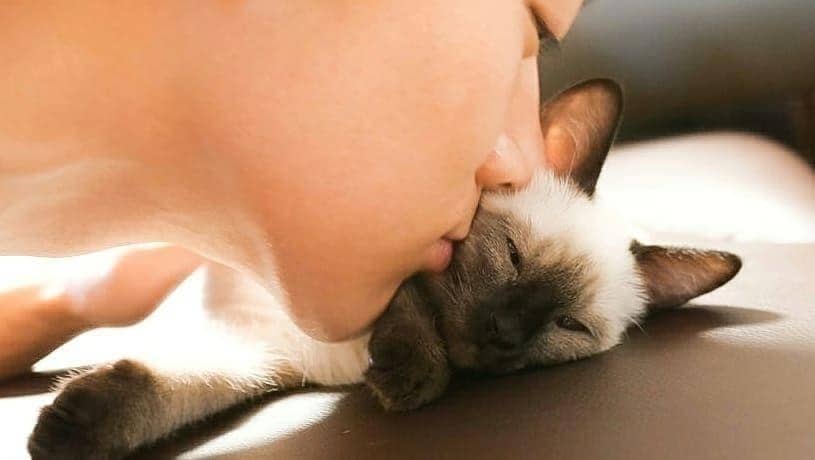 instagram.com/tenlee1001