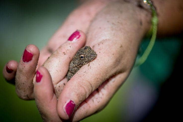 Pinterest.com/WashingtonPost