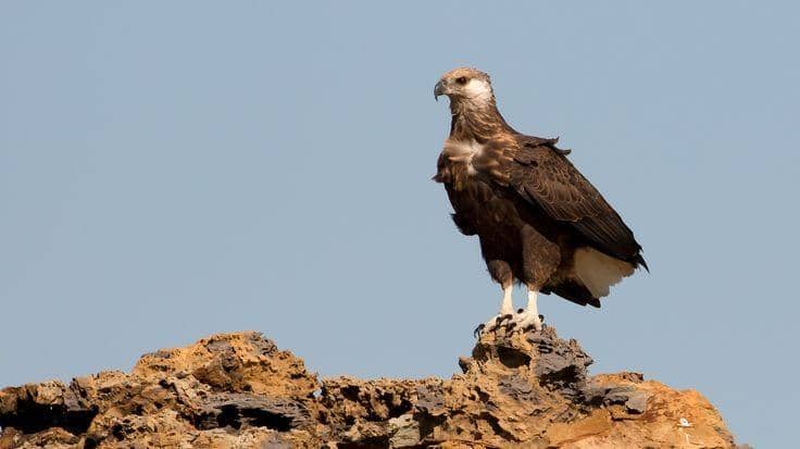 Pinterest.com/Mount salvation salton sea