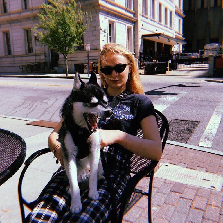 Instagram.com/sophiet