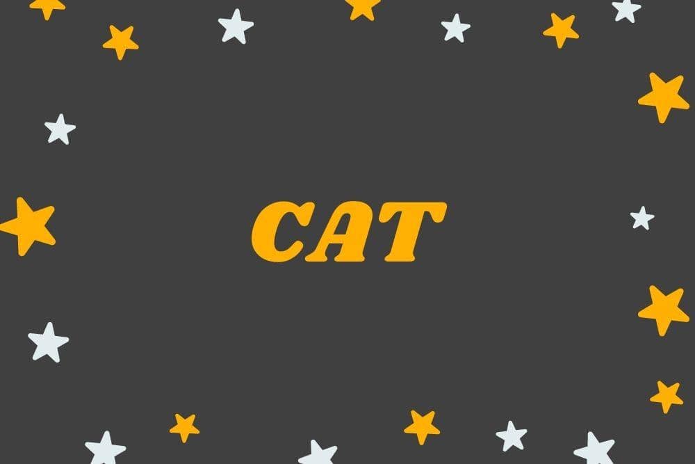 Canva.com/Andhina Effendi