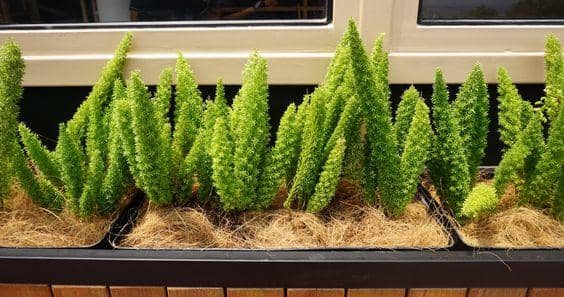 pinterest.com/jenggala bersama