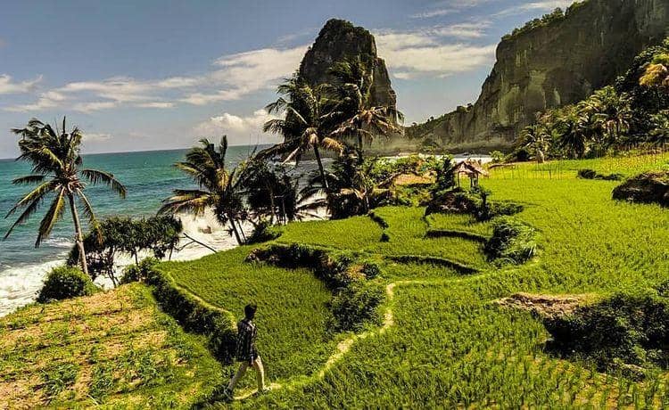 instagram.com/ cwsnj21