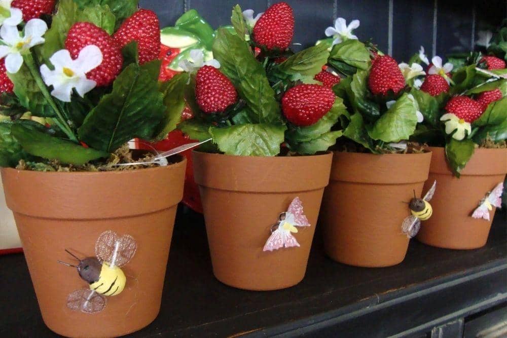 plantinstrucrtions.com