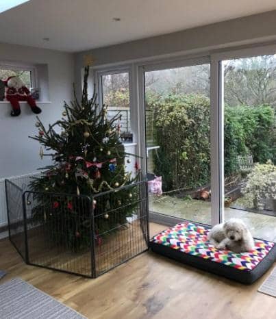 twitter.com/danbeynon