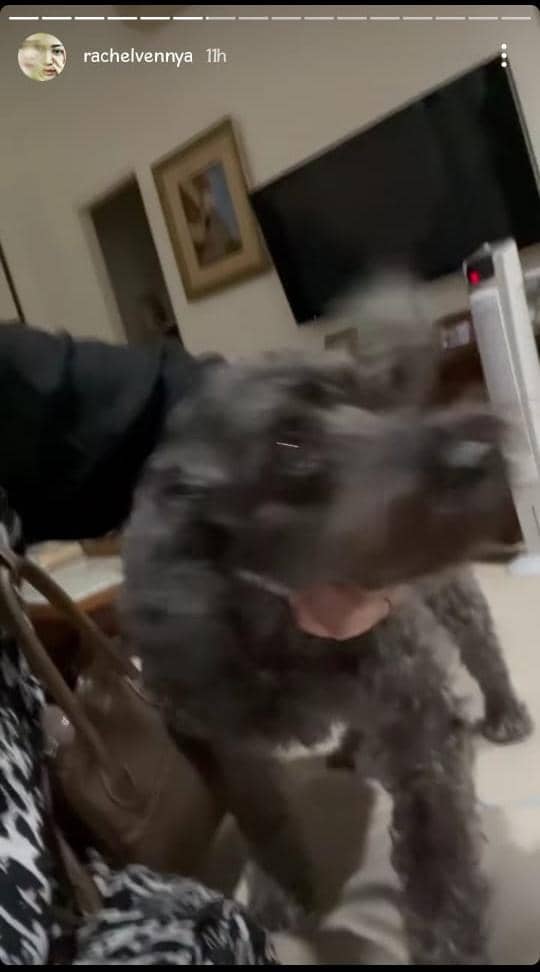 Instagram.com/RachelVennya