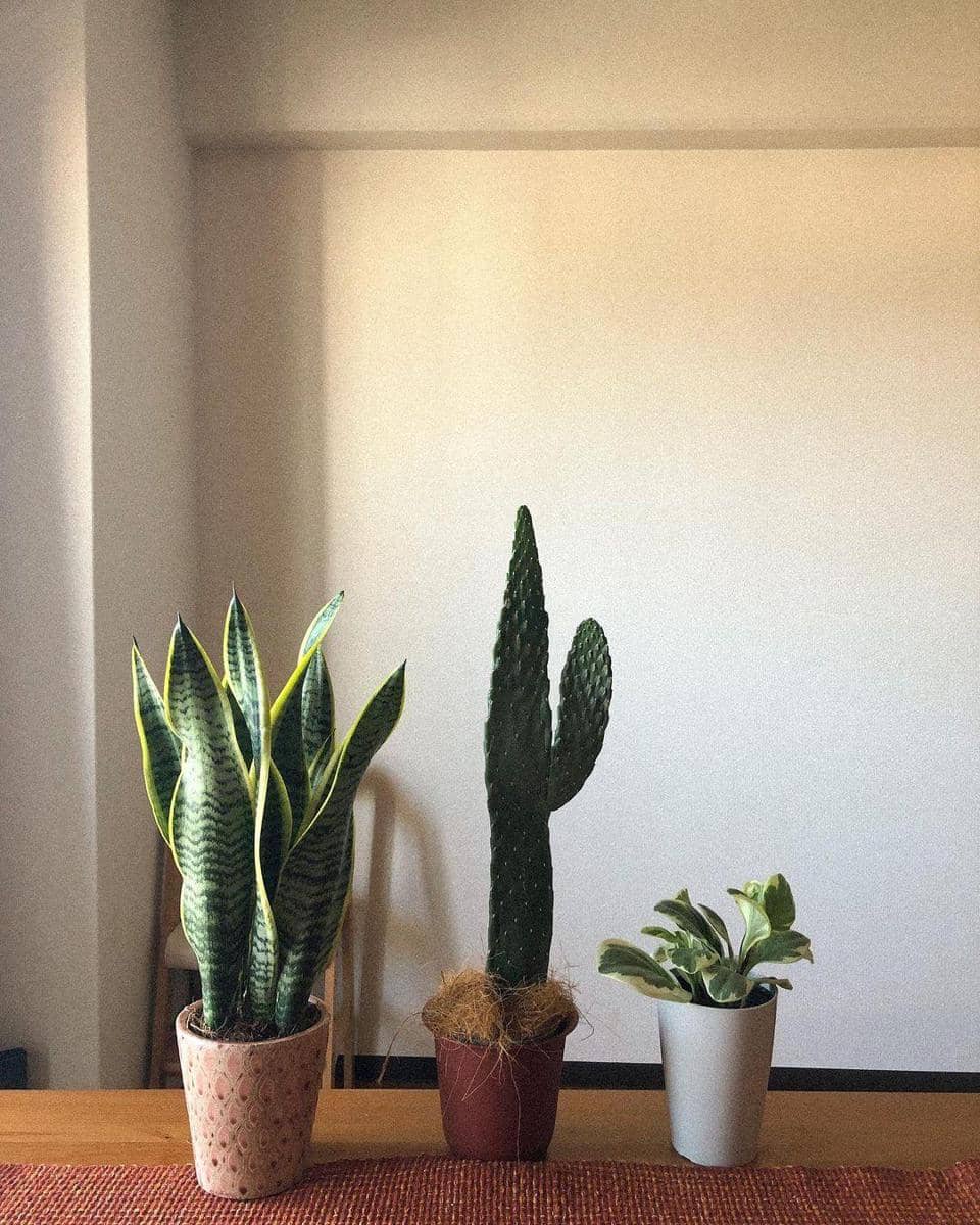 Instagram.com/oubreyaulia