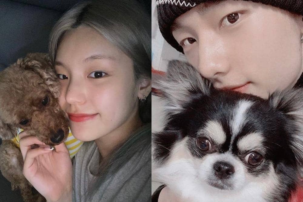 twitter.com/staykissed